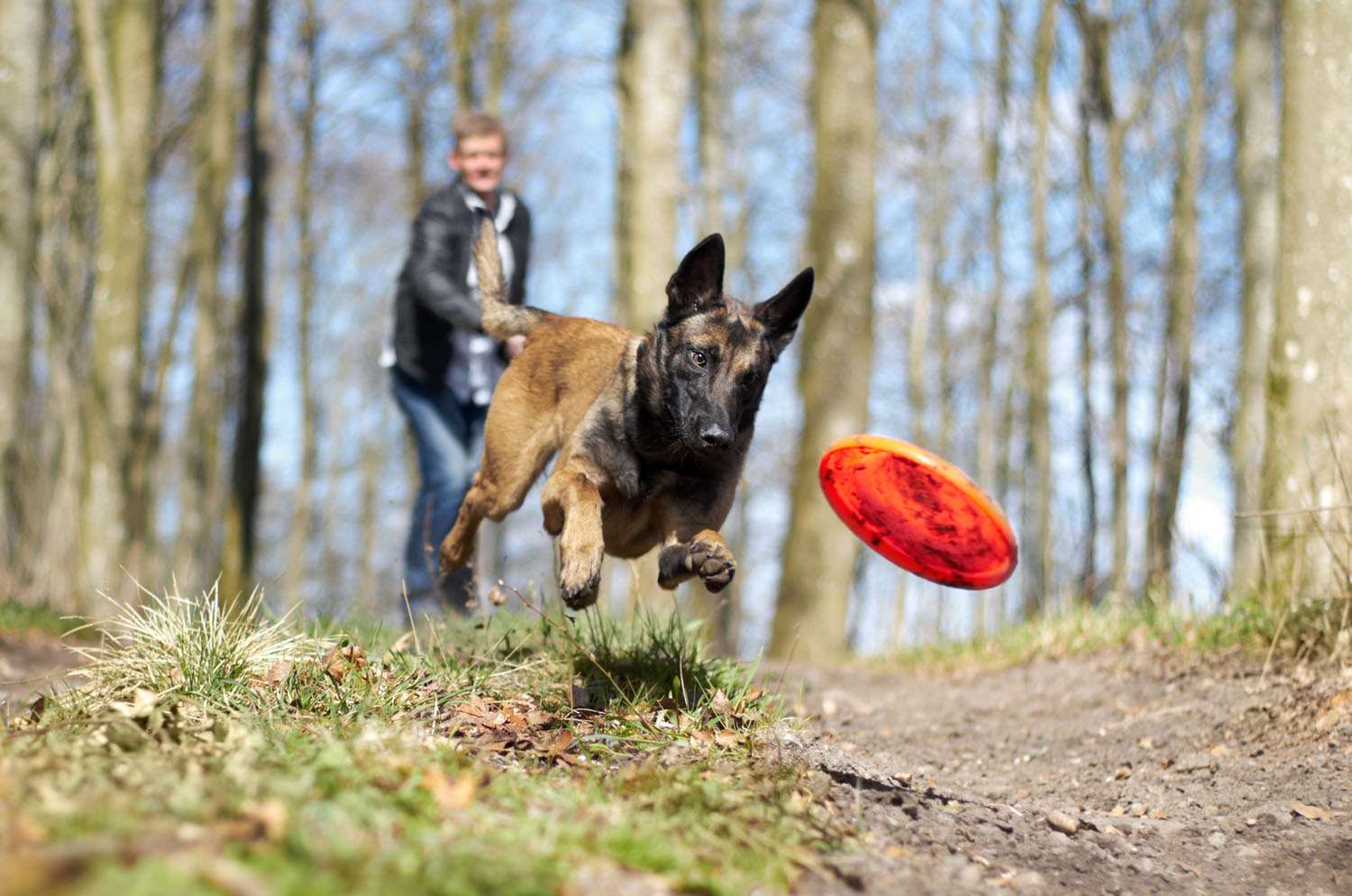 Frisbee