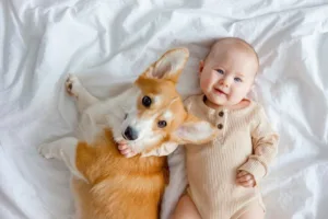 cães e crianças