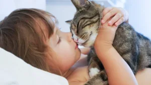 Idade do gato em anos humanos: como calcular corretamente