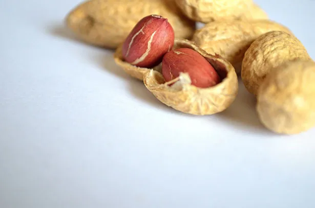 Cachorro pode comer amendoim?