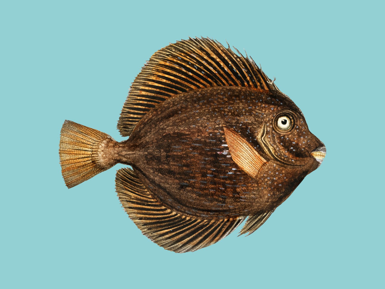 peixes pré-históricos