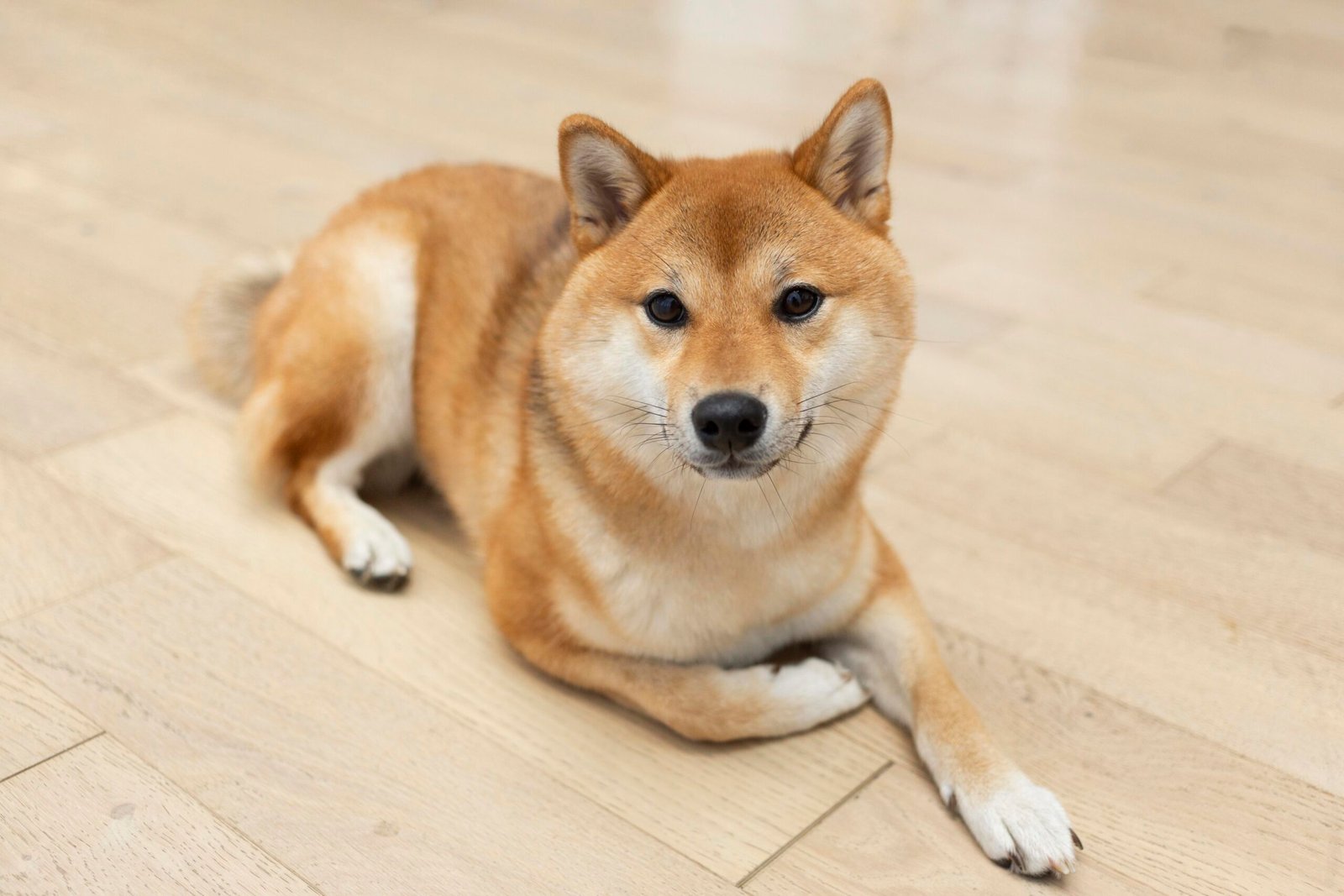 Shikoku