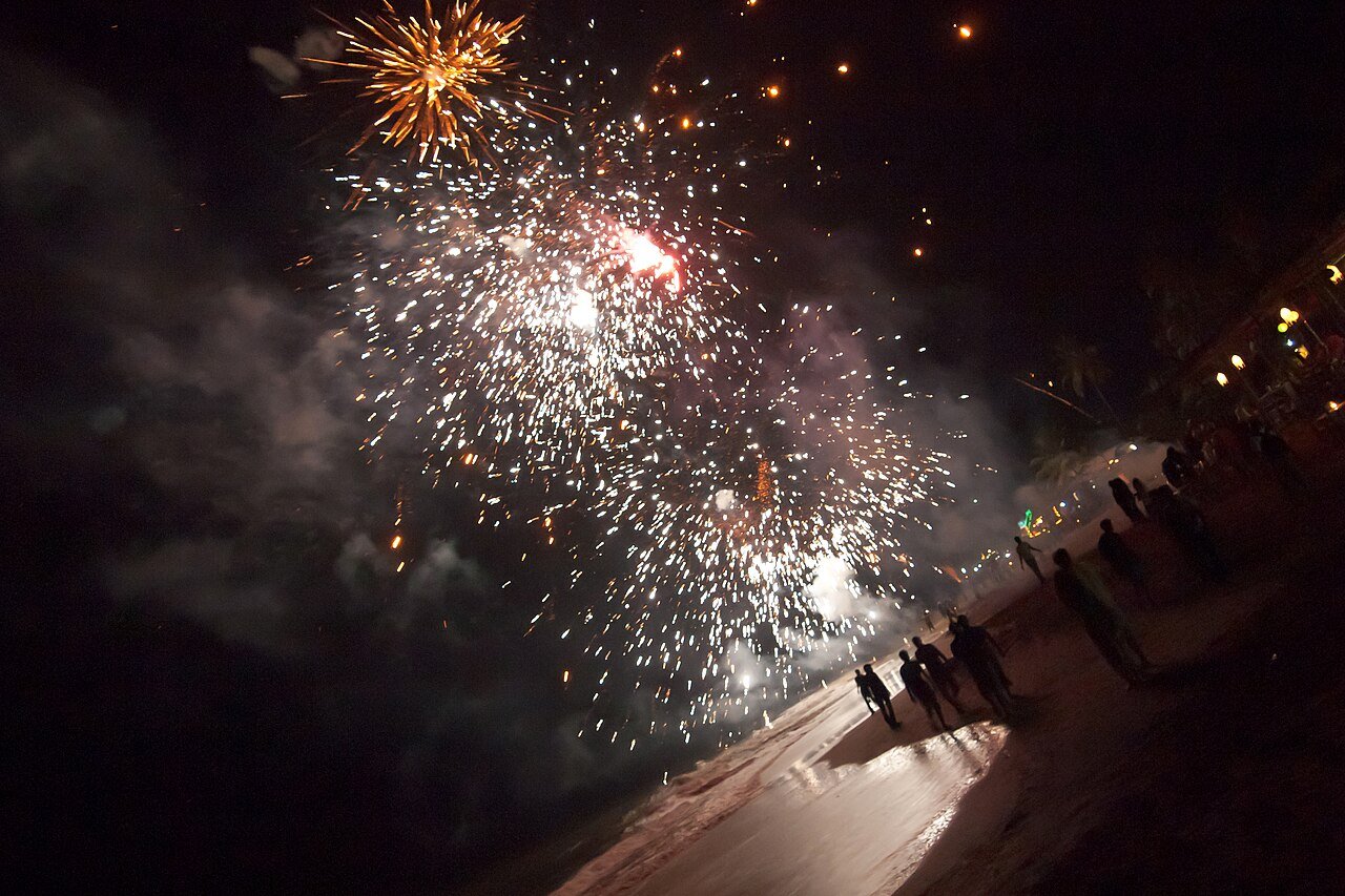 Fogos de artifício silenciosos: as leis brasileiras que já protegem cães e gatos do barulho