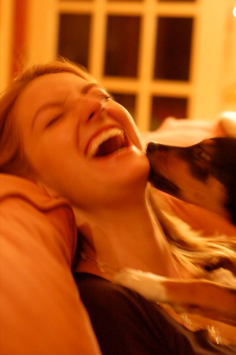 Por que os cães lambem as pessoas? A ciência do comportamento explica