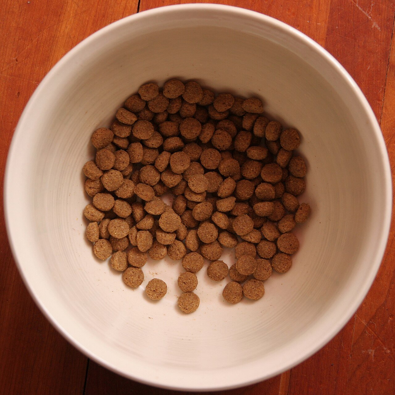 aflatoxina na ração