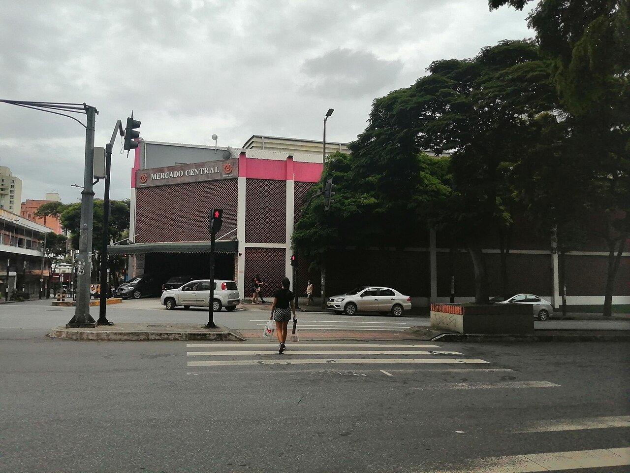 BH aprova fim da venda de animais vivos em ruas, praças e no Mercado Central 1 venda de animais