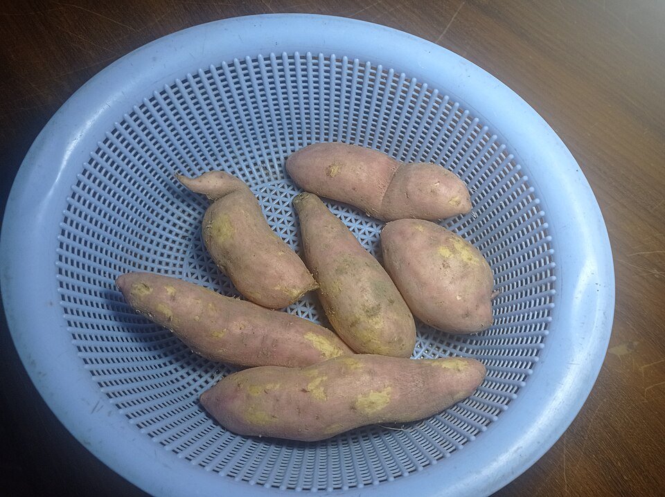 Batatas-doces cruas: devem ser cozidas antes de oferecer ao cachorro
