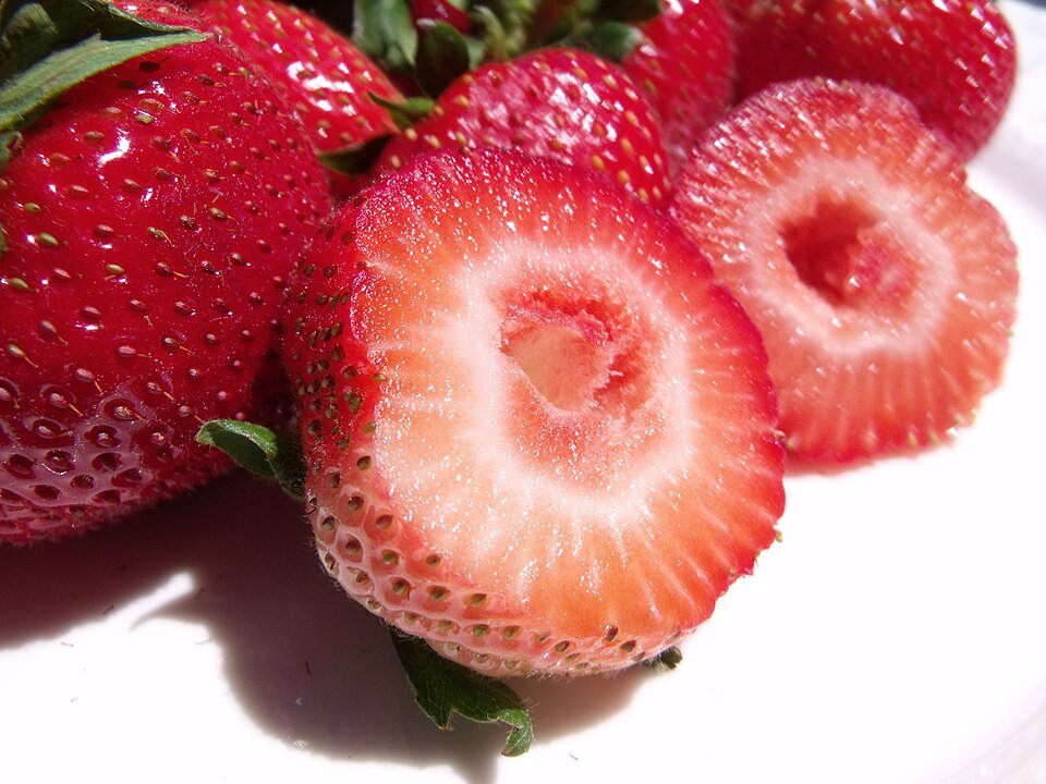 Cachorro Pode Comer Morango? Benefícios, Riscos e Como Oferecer