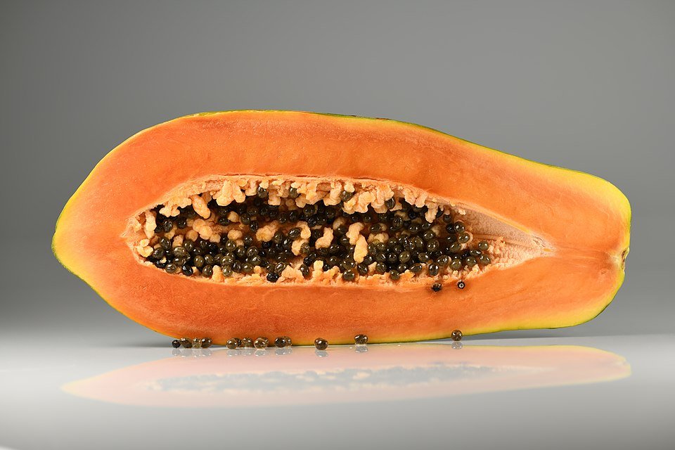 Cachorro pode comer mamão: fruta madura cortada mostrando as sementes que devem ser retiradas