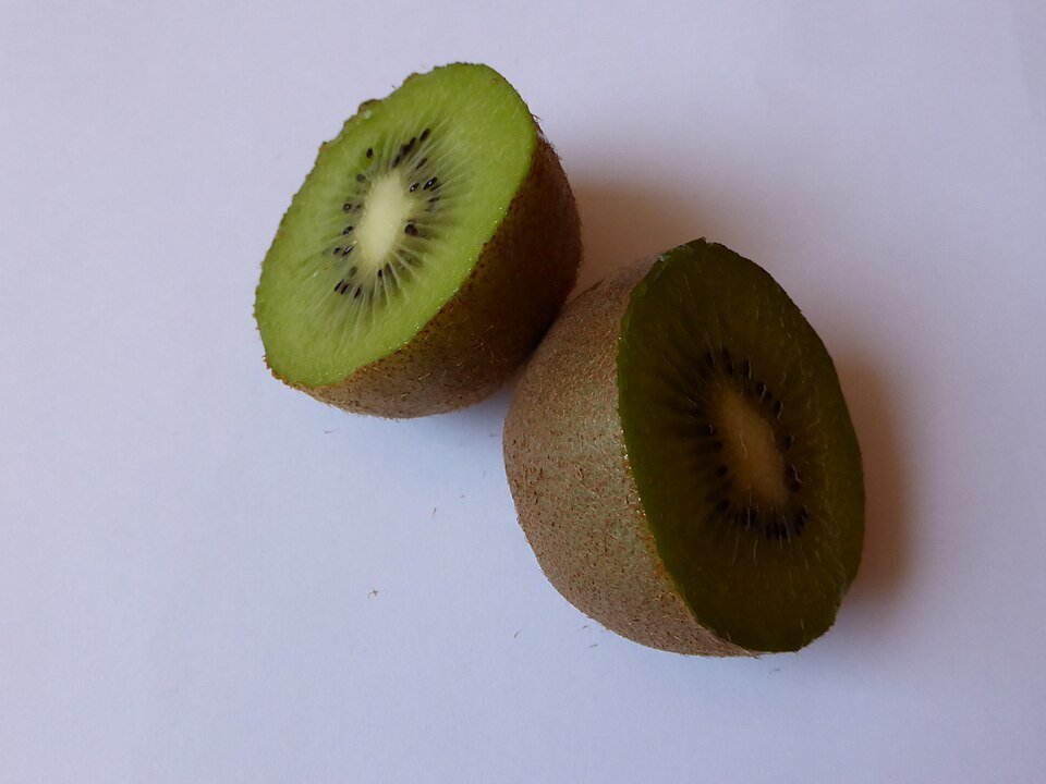Cachorro pode comer kiwi? Veja como oferecer com segurança