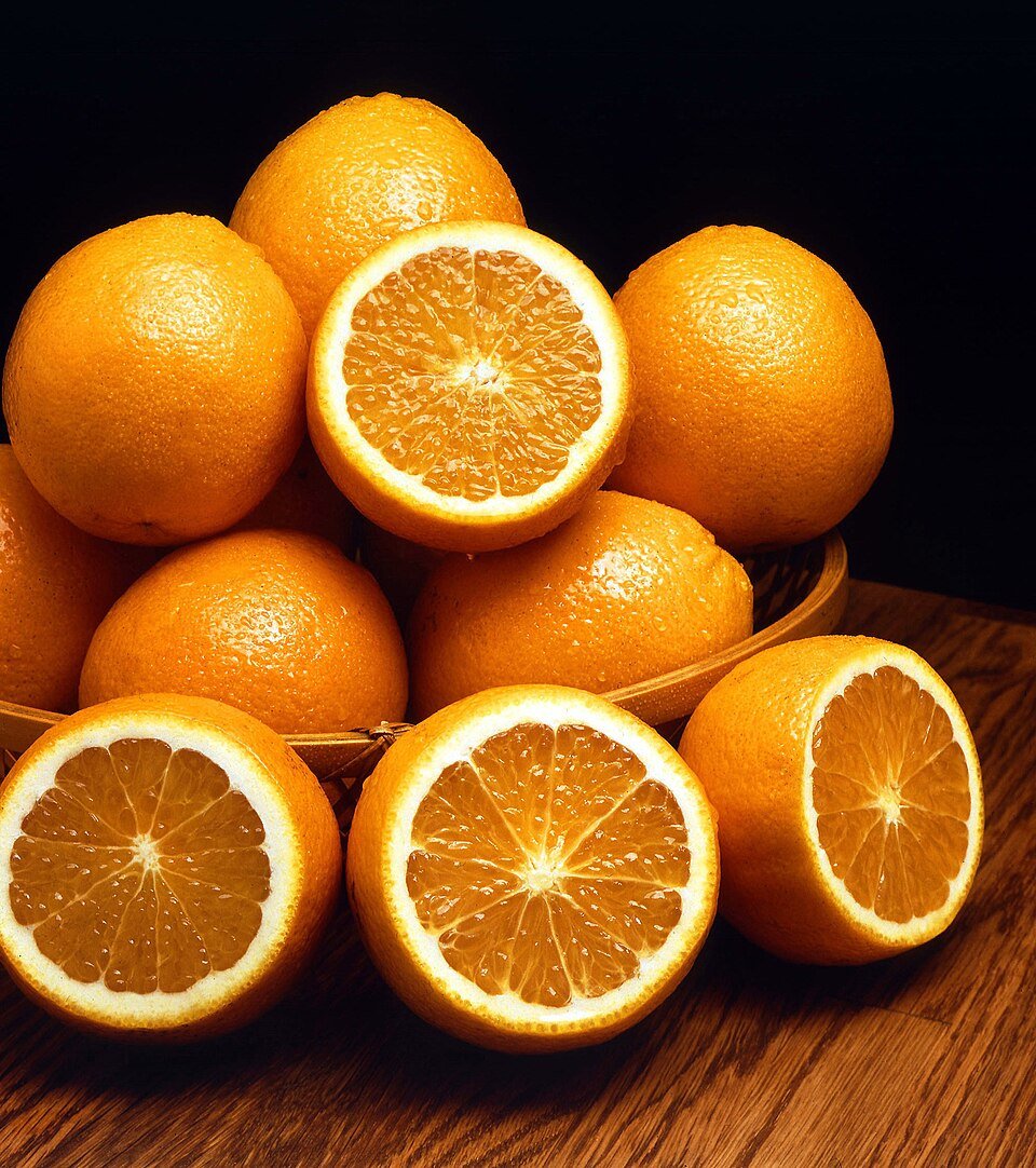 Laranjas cortadas ao meio, fruta que o cachorro pode comer com moderacao