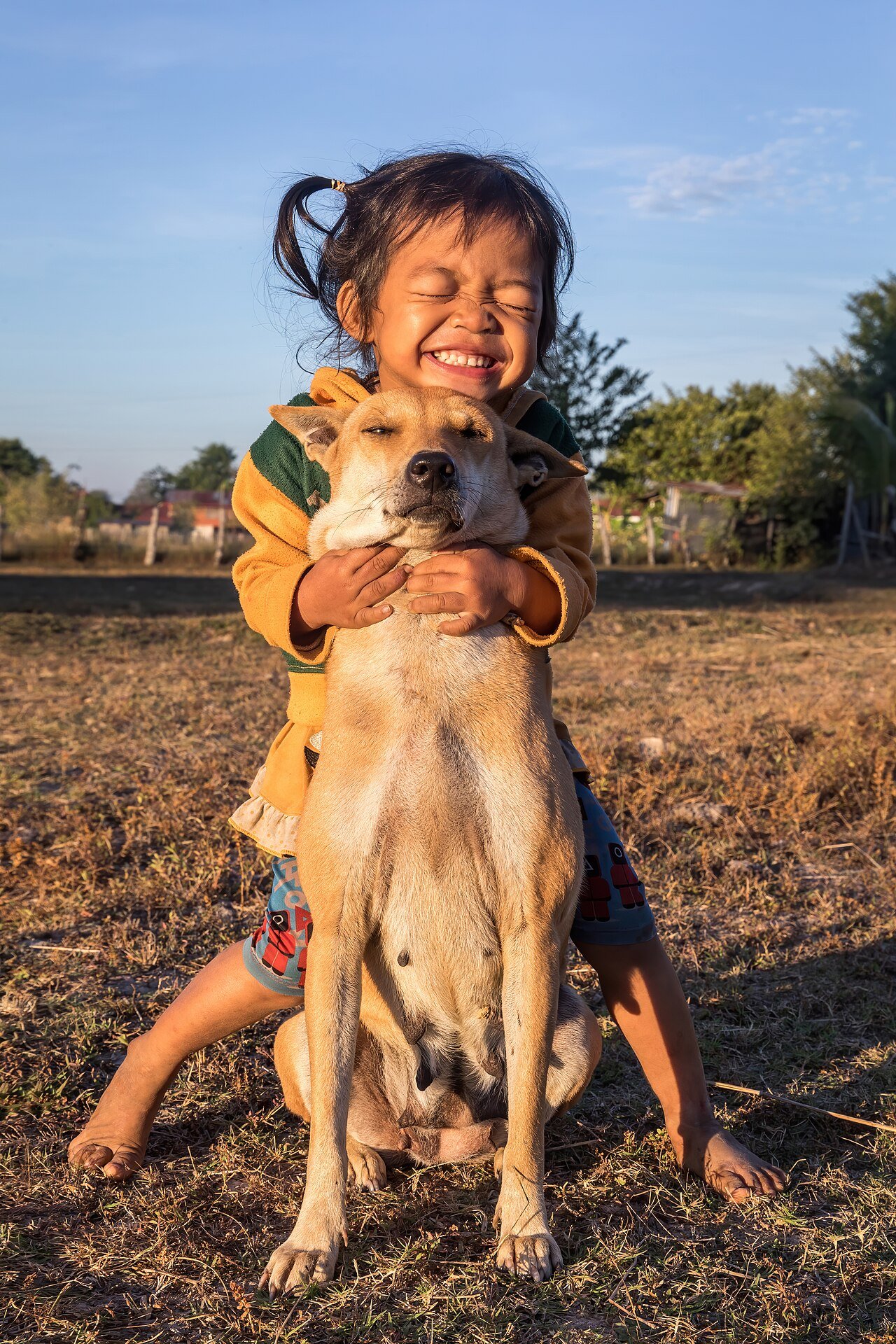 1 em cada 5 diz que perder o pet doeu mais que perder um humano, mostra estudo