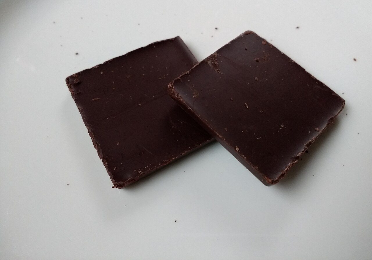 Cachorro pode comer chocolate? Riscos e o que fazer agora