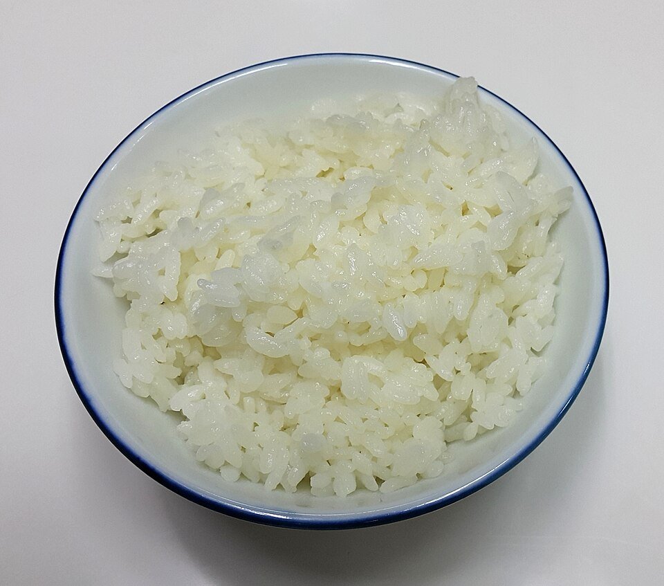 Cachorro pode comer arroz? Benefícios, riscos e quantidade