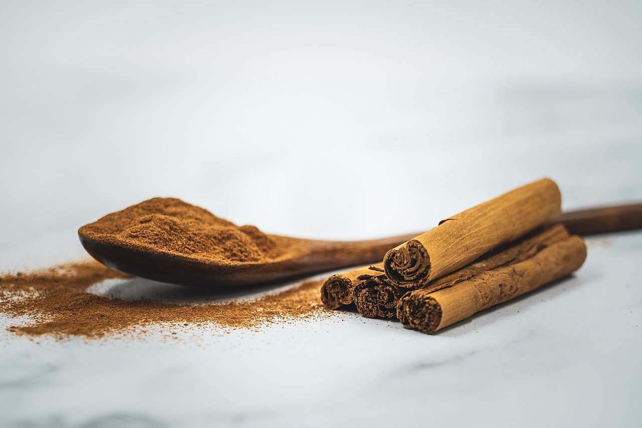 Cachorro pode comer canela? Riscos e quantidade segura
