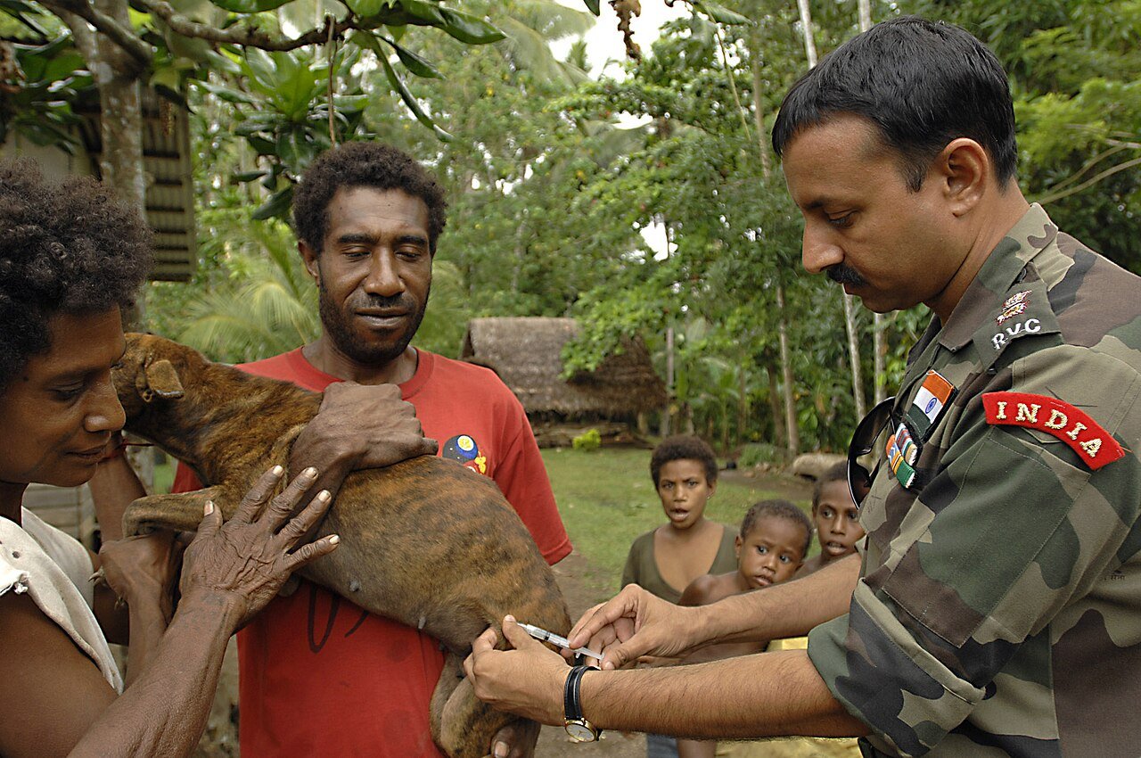 Raiva em cães: Brasil soma 19 casos até setembro de 2026 — e a queda histórica esconde um risco